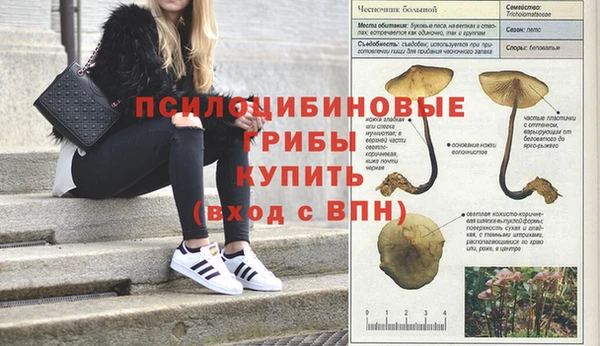 spice Балабаново