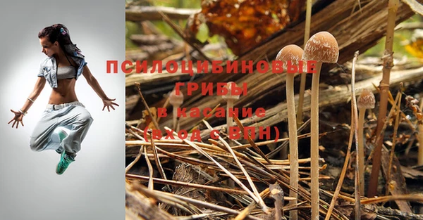 синтетический гашиш Белокуриха