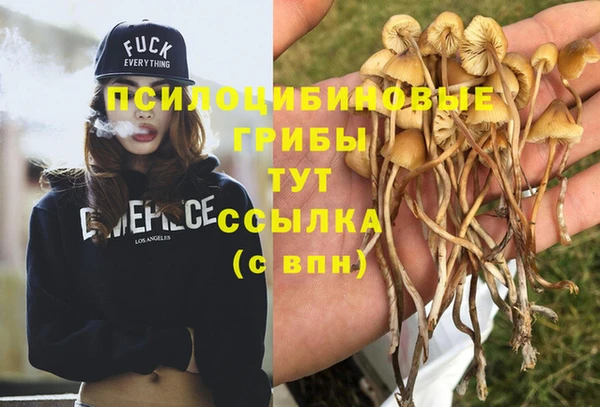 марихуана Беломорск