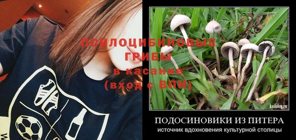 спайс Зерноград