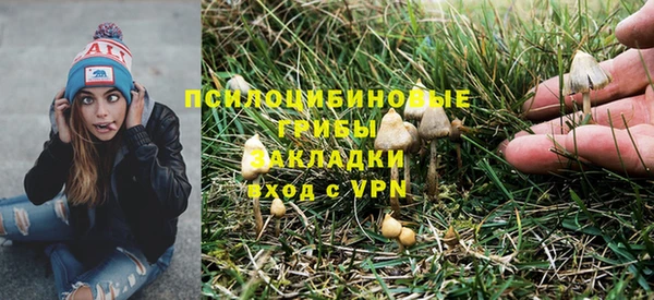 трава Балахна
